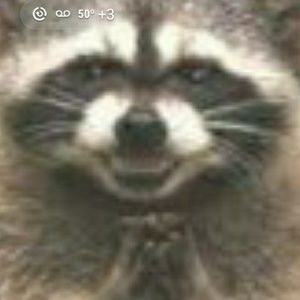 Meet your Posher, Priscella